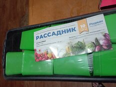 Набор для рассады 450х190х110 мм, 10 стаканчиков, в ассортименте, Радиан - фото 5 от пользователя