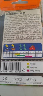 Семена Тыква, Волжская, 2 г, серая, ранняя, цветная упаковка, Тимирязевский питомник - фото 4 от пользователя
