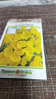 Семена Цветы, Энотера, Ночная свеча, 0.2 г, цветная упаковка, Русский огород - фото 9 от пользователя