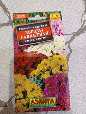 Семена Цветы, Хризантема, Звезды галактики, 0.02 г, семь окрасок, цветная упаковка, Аэлита - фото 2 от пользователя
