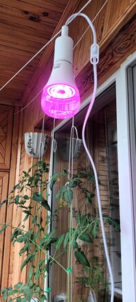 Лампочка светодиодная для растений, E27, 15 Вт, 170-265 В, 125 Вт, Camelion, Фито LED15-PL/BIO, 12770 - фото 3 от пользователя