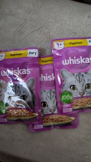 Корм для животных Whiskas, 75 г, для взрослых кошек 1+, рагу, курица, пауч, G8478 - фото 1 от пользователя