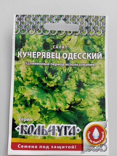 Семена Салат кочанный, Кучерявец Одесский, 1 г, Кольчуга, цветная упаковка, Русский огород - фото 1 от пользователя