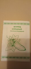 Семена Огурец, Изящный, 0.3 г, Первая цена, белая упаковка, Русский огород - фото 6 от пользователя