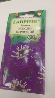 Семена Цветы, Цинния, Исполин пурпурный, 0.3 г, цветная упаковка, Гавриш - фото 9 от пользователя
