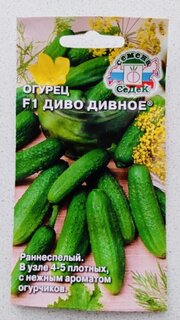 Семена Огурец, Диво дивное F1, 0.2 г, цветная упаковка, Седек - фото 3 от пользователя