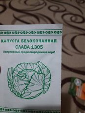 Семена Капуста белокочанная, Слава 1305, 0.3 г, Первая цена, белая упаковка, Русский огород - фото 1 от пользователя