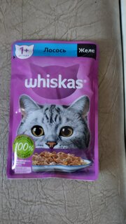 Корм для животных Whiskas, 75 г, для взрослых кошек 1+, кусочки в желе, лосось, пауч, G8461 - фото 1 от пользователя