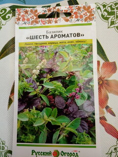 Семена Базилик, Шесть ароматов смесь, 0.3 г, цветная упаковка, Русский огород - фото 7 от пользователя