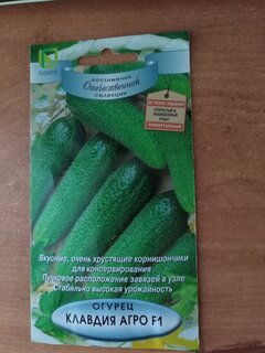 Семена Огурец, Клавдия Агро F1, цветная упаковка, Поиск - фото 6 от пользователя