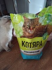 Наполнитель для лотка комкующийся, 4.2 кг, полиэтиленовый пакет, Котяра, Классический - фото 2 от пользователя