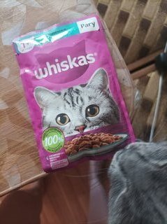 Корм для животных Whiskas, 75 г, для взрослых кошек 1+, рагу, индейка/кролик, пауч, G8484 - фото 7 от пользователя