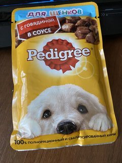 Корм для животных Pedigree, 85 г, для щенков всех пород, кусочки в желе, говядина, пауч, 47467/7699 - фото 1 от пользователя