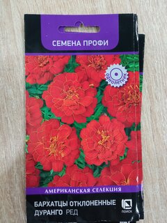 Семена Цветы, Бархатцы, Дуранго Ред, отклоненные, цветная упаковка, Поиск - фото 7 от пользователя