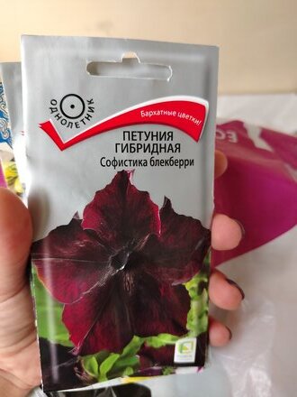 Семена Цветы, Петуния, Софистика гибридная (блекберри), цветная упаковка, Поиск - фото 9 от пользователя