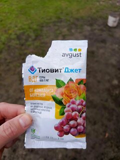 Фунгицид Тиовит Джет, 30 г, гранулы, от мучн.росы, Avgust - фото 7 от пользователя