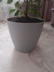 Горшок для цветов пластик, 5.5 л, 22х20 см, с поддоном, серый, Idea, Дюна, М 3070 - фото 1 от пользователя