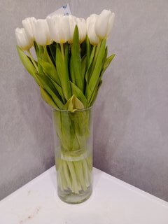 Ваза стекло, настольная, 25х12 см, Цилиндр, Y6-10069 - фото 4 от пользователя