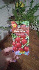 Семена Редис, Ням-Ням, 3 г, цветная упаковка, Аэлита - фото 7 от пользователя
