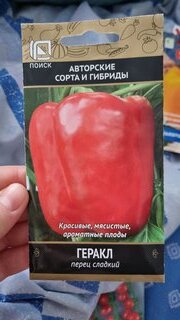 Семена Перец сладкий, Геракл, 0.25 г, цветная упаковка, Поиск - фото 1 от пользователя