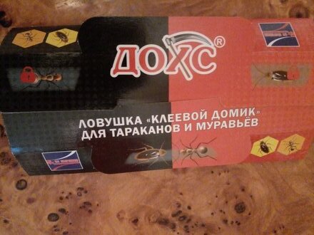 Инсектицид Клеелов, от муравьев и тараканов, клеевая ловушка - фото 9 от пользователя