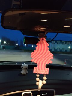 Ароматизатор в машину подвесной, сухой, Car-Freshner, Бабл гам, 10348 - фото 2 от пользователя