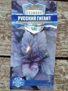 Семена Базилик, Русский гигант, 0.1 г, Русский богатырь, фиолетовый, цветная упаковка, Гавриш - фото 7 от пользователя