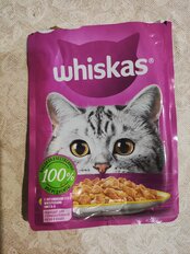 Корм для животных Whiskas, 75 г, для взрослых кошек 1+, кусочки в желе, лосось, пауч, G8461 - фото 8 от пользователя