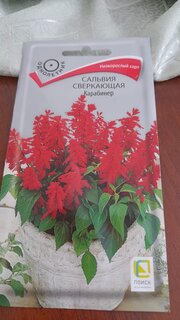 Семена Цветы, Сальвия, Карабинер, 0.1 г, цветная упаковка, Поиск - фото 3 от пользователя