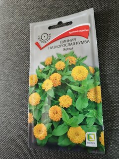 Семена Цветы, Цинния, Румба Жёлтая, 0.1 г, низкорослая, многоцветковая, красная, цветная упаковка, Поиск - фото 7 от пользователя