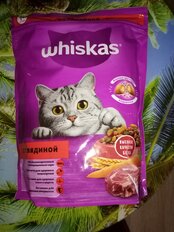 Корм для животных Whiskas, 800 г, для взрослых кошек 1+, сухой, говядина, подушечки с паштетом, пакет, G3658 - фото 7 от пользователя