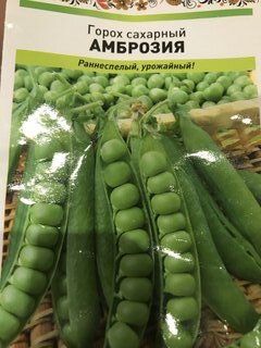 Семена Горох, Амброзия, 10 г, цветная упаковка, Русский огород - фото 7 от пользователя