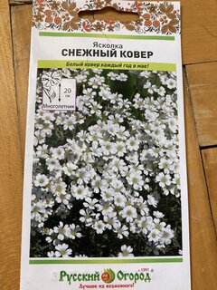 Семена Цветы, Ясколка, Снежный ковёр, 0.15 г, цветная упаковка, Русский огород - фото 3 от пользователя