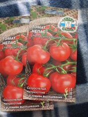 Семена Томат, Непас Непасынкующийся, 0.1 г, цветная упаковка, Седек - фото 5 от пользователя