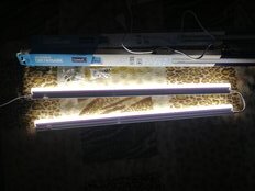 Светильник линейный светодиодный, General Lighting Systems, GT5B, 9 Вт, 4000 К, 890 Лм, IP40, 57.2х2.2х3.6 см, с выключателем, нейтральный белый, 415015 - фото 5 от пользователя