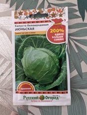 Семена Капуста белокочанная, Июньская 200% NEW, 1.5 г, цветная упаковка, Русский огород - фото 6 от пользователя