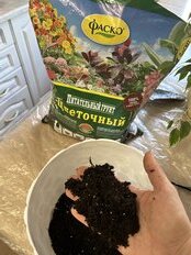 Грунт Цветочный, для комнатных растений, 10 л, Фаско - фото 7 от пользователя
