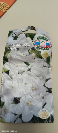 Семена Цветы, Платикодон, Блюз, 0.1 г, цветная упаковка, Седек - фото 1 от пользователя