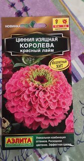 Семена Цветы, Цинния, Королева красный лайм, 5 шт, цветная упаковка, Аэлита - фото 2 от пользователя