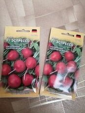 Семена Редис, Эспрессо F1, 1 г, Германия, цветная упаковка, Гавриш - фото 4 от пользователя