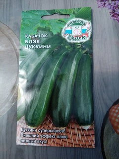 Семена Базилик, Лимонный аромат, 0.2 г, цветная упаковка, Русский огород - фото 4 от пользователя
