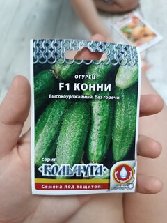 Семена Огурец, Конни F1, Кольчуга, цветная упаковка, Русский огород - фото 1 от пользователя