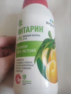 Удобрение Янтарин, регулятор роста, органоминеральное, жидкость, 500 мл, Avgust - фото 1 от пользователя