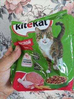 Корм для животных Kitekat, 350 г, для взрослых кошек, сухой, аппетитная курочка, пакет, 10132063 - фото 1 от пользователя