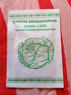 Семена Капуста белокочанная, Слава 1305, 0.3 г, Первая цена, белая упаковка, Русский огород - фото 8 от пользователя