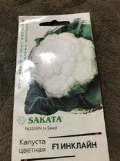 Семена Капуста цветная, Инклайн F1, 10 шт, Sakata, цветная упаковка, Гавриш - фото 7 от пользователя