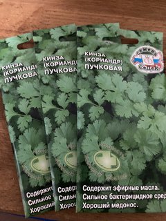 Семена Кинза, Пучковая, цветная упаковка, Седек - фото 2 от пользователя