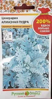 Семена Цветы, Цинерария, Алмазная пудра, 0.2 г, 200%, цветная упаковка, Русский огород - фото 7 от пользователя