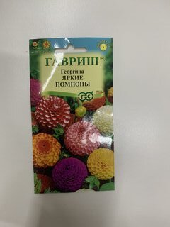 Семена Цветы, Георгина, Яркие помпоны, 0.2 г, Цветочная коллекция, цветная упаковка, Гавриш - фото 4 от пользователя