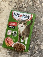 Корм для животных Kitekat, 85 г, для кошек, говядина в желе, пауч - фото 4 от пользователя